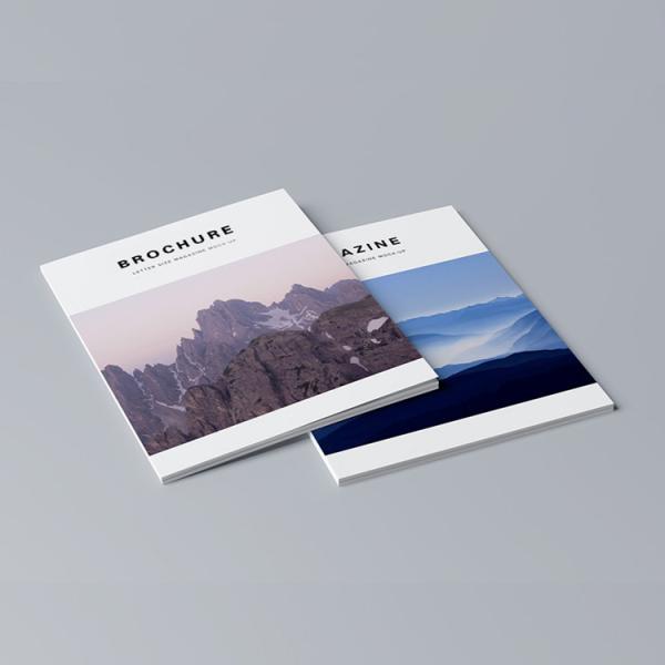 Luxury Full Color Brochures , Printing Advertising Flyers Book FDA Certificate