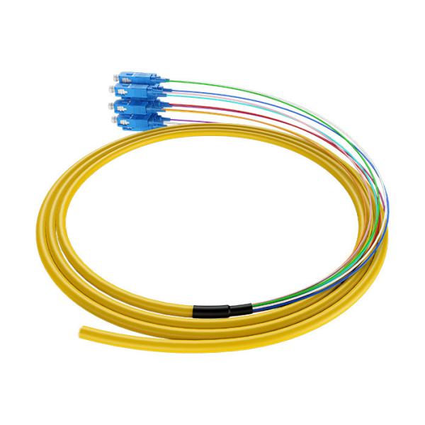 Quality 12 Cores Single Mode Fiber Patch Cord SCUPC Multi Core Connector for sale