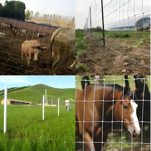 1.8M Height Galvanized Fixed Knot Iron Wire Cattle Fence for Animal Security for Animal Containment Solution