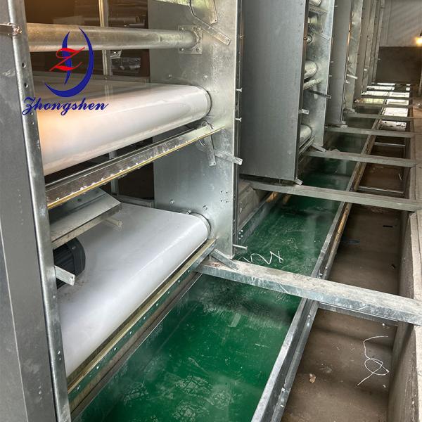 Zhongshen Premium PP/PE Manure Conveyor Belt for Poultry Farms