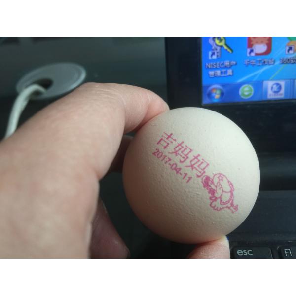 Automatic Egg High Resolution Inkjet Printer With ABC Standard Printing Font