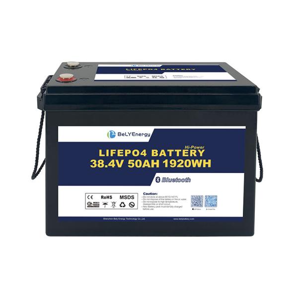 Maintenance Free 5000 Cycles Long Lifespan 38.4V 50Ah Lithium Iron Phosphate