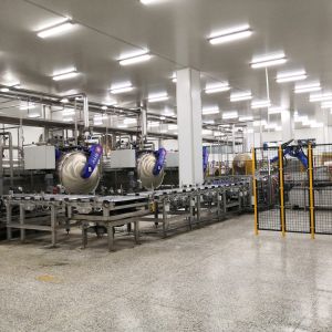 Vertical Continuous Crateless Canning Sterilization Retort System Automated