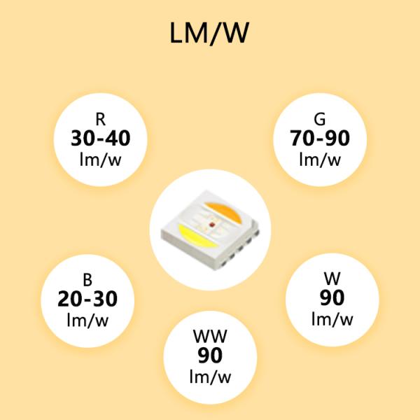 Multi Color High Power Light Emitting Diodes Smd Led Chips 6464 RGBWW 2.5W 4W 3W