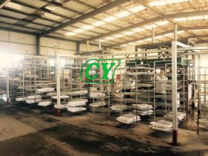 China Eco Friendly Pulp Drying Machine Egg Carton Production Line on sale