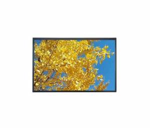 Wholesale 10.1'' 1920*1080 TFT FHD LCD Module with touch standard from china suppliers
