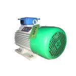High Efficiency Permanent Magnet Alternator , Brushless AC Generator