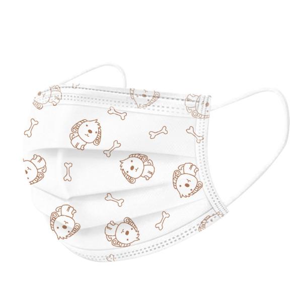 Class II Collapsible Kids Earloop Face Mask 14x9.5cm