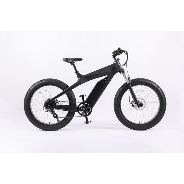 48v 750w Carbon Fiber Enduro Ebike with Aluminium Alloy Suspension Fork and Performance