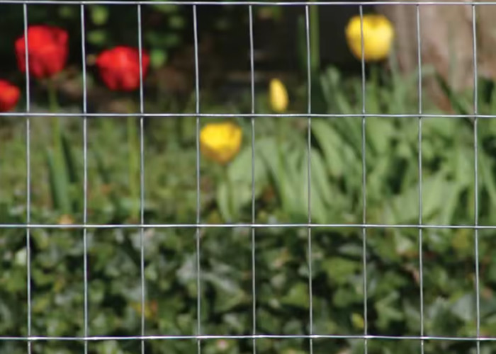 2 X 4 Galvanized Wire Mesh Heavy Duty And Durable For 1'' Mesh Size 8 Gauge Welded Wire Mesh