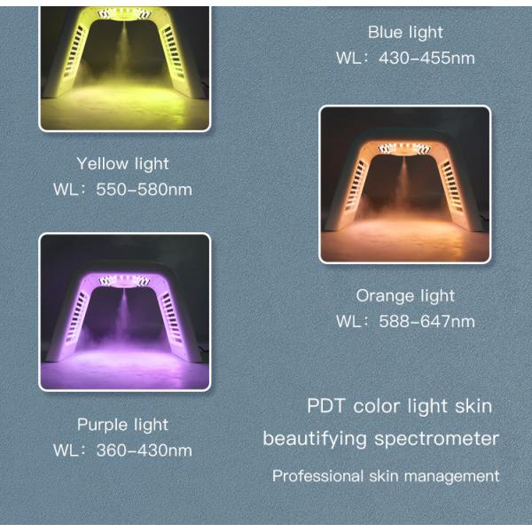 Professional Photon 7 Colors PDT Led Light LED Facial Mask Machine For Skin Rejuvenation Light Therapy