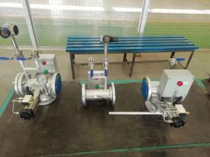 Wholesale Pigging Automated Pigging System ANSI 150 Pressure Standard from china suppliers