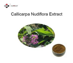 China 24% Flavones Callicarpa Nudiflora Organic Herbal Extracts Pharmaceutical gradeGMP/DML on sale