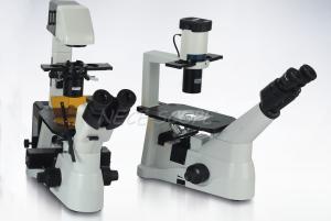 Wholesale Biological Laser Scanning Fluorescence Microscopy With OSRAM 100W DC Mercury Lamp from china suppliers