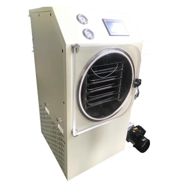 Wholesale High Efficiency Kitchen Freeze Dry Machine Great Power Easy Operation from china suppliers