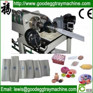China EPE foam fruit net extrusion line(CE approved FCEPEW-75) on sale