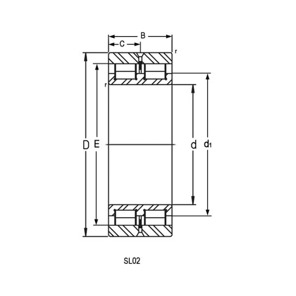 SL02 4830 SL02 4848 Double Row Roller Bearing Cylindrical Radial Non Locating Bearing