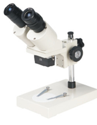 Fixed Magnification Stereo Microscope XTX-203A
