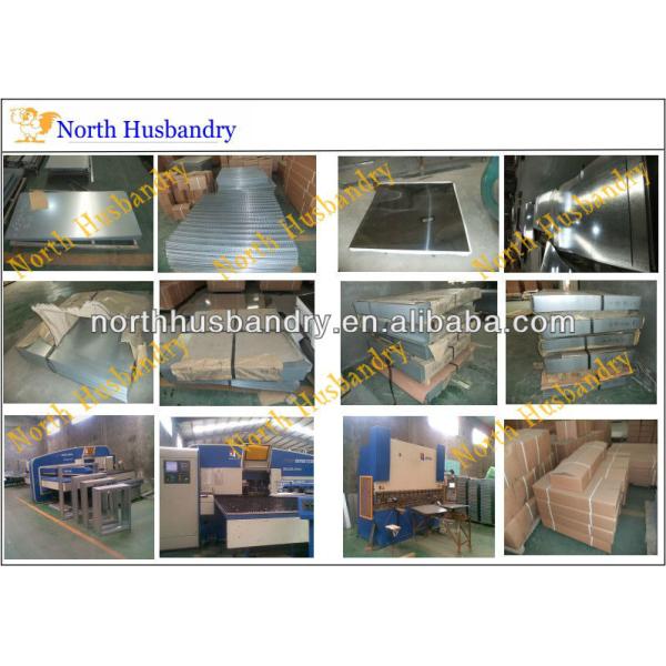 Broiler Poultry Feed, India Broiler Poultry Feed Suppliers