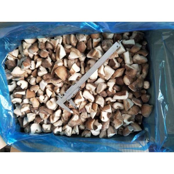 ISO Quarter Cut IQF Frozen Shiitake Mushrooms For Catering