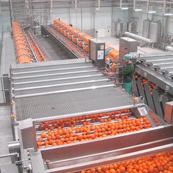 Stainless Steel Fruit Sorting Machine , Energy Saving Fruit Grading Machine