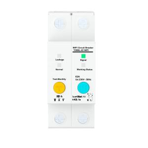 Wholesale Intelligent WIFI Circuit Breaker with 2Poles 63A from china suppliers