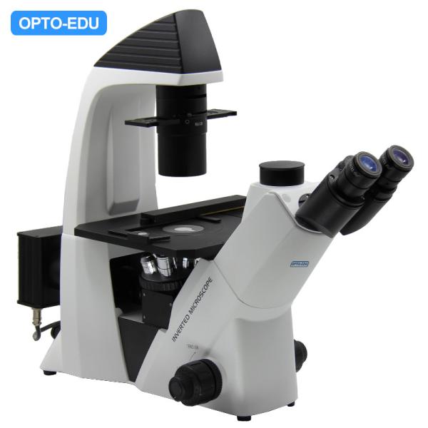 Quality Mechanical Stage Inverted Light Microscope / Digital Inverted Microscope for sale