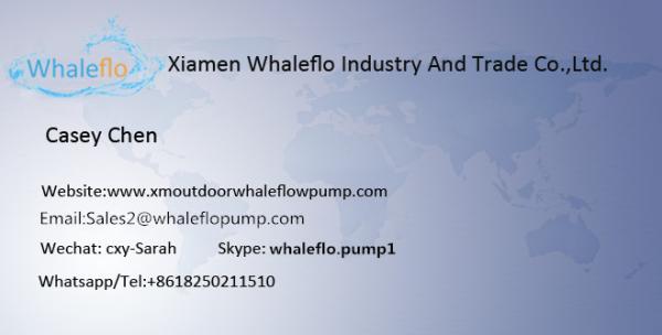 Whaleflo HV-30M 30LPM 230V AC Chemical continue working oil / urea solution pump for IBC system