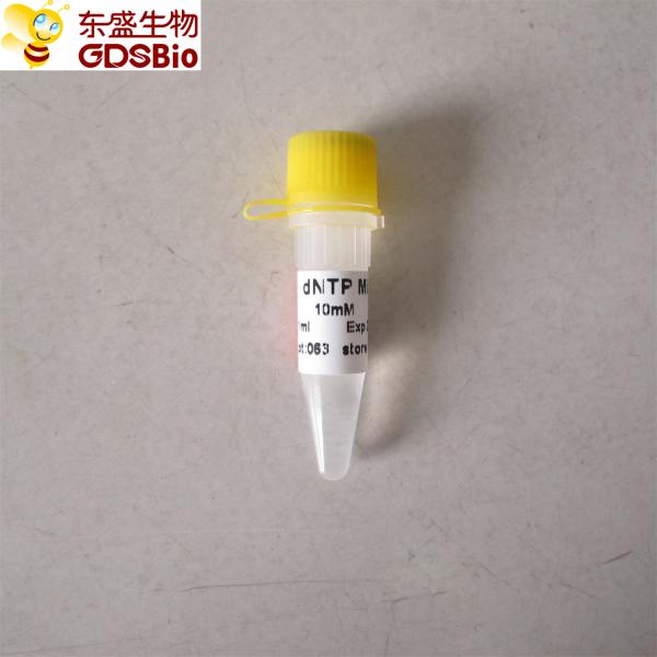 dNTP Mix for PCR qPCR P9013 1ml