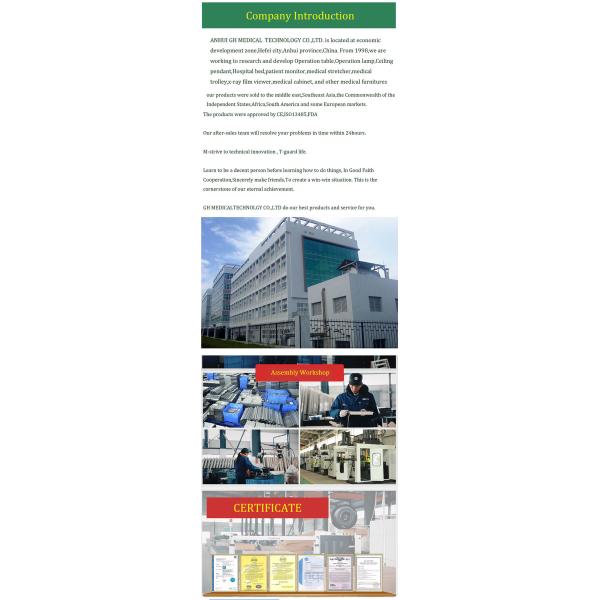 Adjustable Medical Transport Wheelchair Foldable Electric Lightweight Wheelchair 101kg