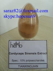 China Cordyceps Extract,Cordyceps sinensis (Berk.) Sacc on sale