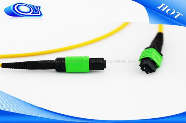 Quality Single Mode / Multimode MTP MPO Connector OM3 OM4 Fiber Optic Patch Cord for sale