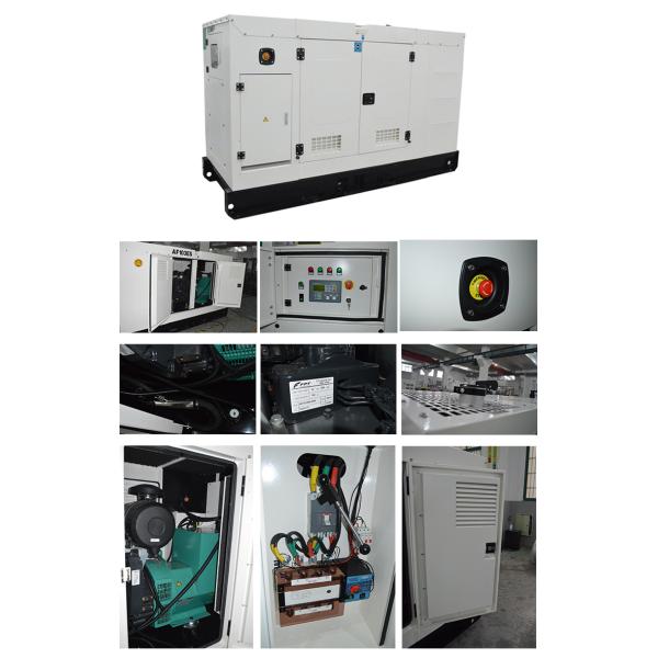Silent Power Factor 0.8 40kw FPT Diesel Generator With OEM Global Warranty