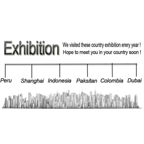 50KG Electric Vehicles Transmission Reducer for Geely Energy Car within Market