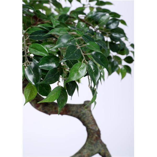 Vibrant Color Artificial Ficus Tree Curved Trunk , Pre Lit Ficus Tree Premium Foliage