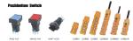 Industrial Push Button Switch Indicator 230v NP2 Controls Illuminated Flush Head