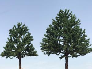 China Model wire Tree  Mini Tree Layout Ho Model Train Design on sale
