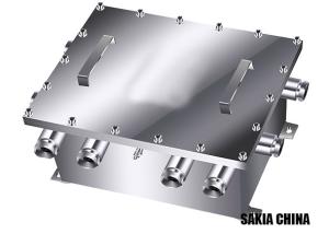 Wholesale IP65 Stainless Steel Explosion Proof Network Video Server Junction Box from china suppliers