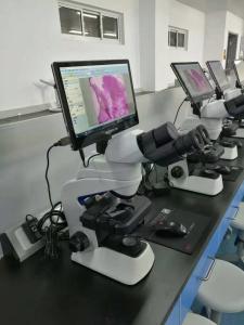 11.6 Windows10 Operation SystemTouchscreen Tablet Microscope Camera NC-WT1160