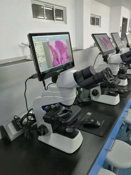 Quality 11.6" Windows10 Operation SystemTouchscreen Tablet Microscope Camera NC-WT1160 for sale