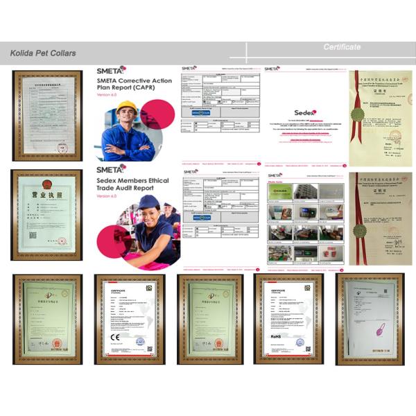 C906 Wholesale Rechargeable Orange Illuminated Dog Leash and Collar