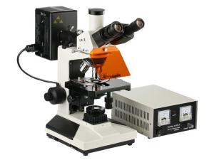 Wholesale Plan Achromatic Objective Reflected Fluorescence Microscope Fine Focus System from china suppliers