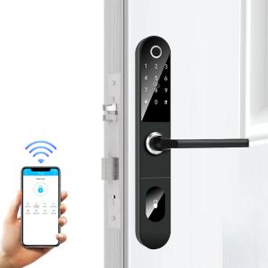 Multifunctional Wifi Smart Keypad Door Lock Rfid AAA