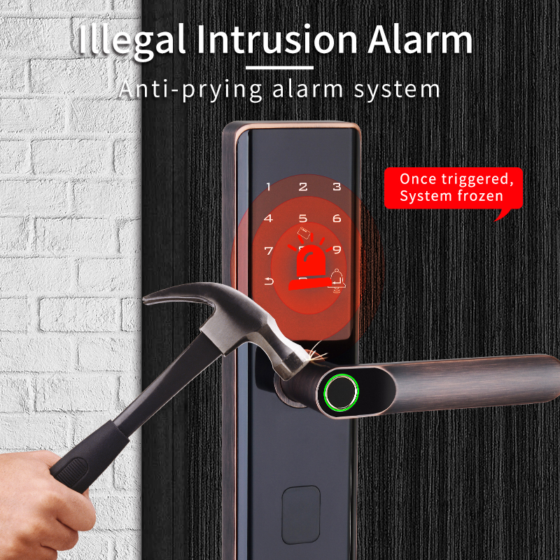 RoHS Tuya Smart Fingerprint Door Lock With Password Memory Card