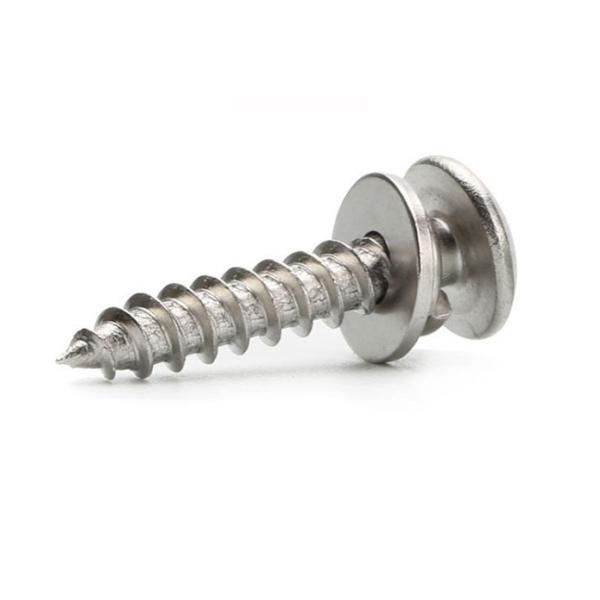 Customized Cross Recessed Pan Head Tapping Screw And Plain Washer Assembly