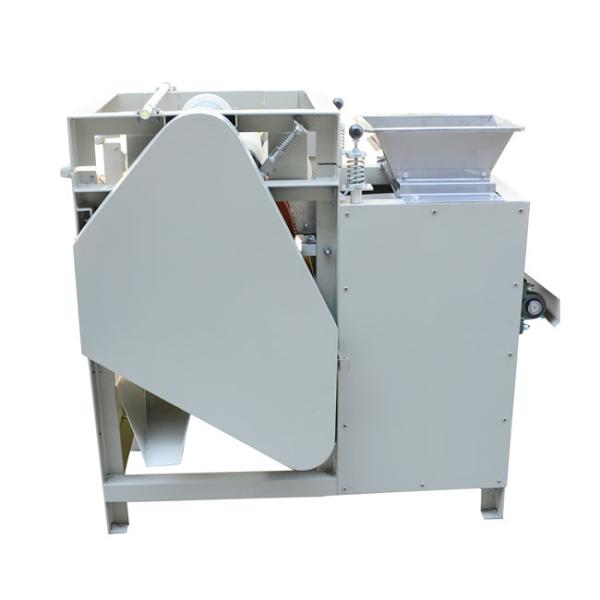 Quality 100kg/H Nuts processing machines nuts peeling machine automatic wet way peeler for sale