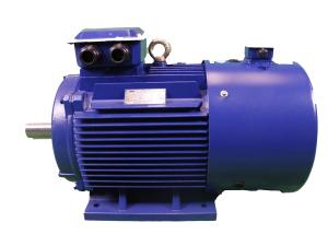 2P To 12P Variable Frequency Drive Motor High Efficiency