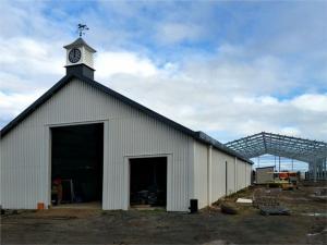 Wholesale Light Steel Structure Horse Barn from china suppliers