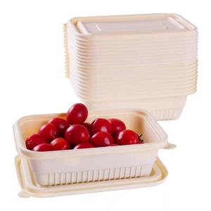 Wholesale Takeout Fast Food Biodegradable Container Environmentally Friendly Bowls With Lid from china suppliers