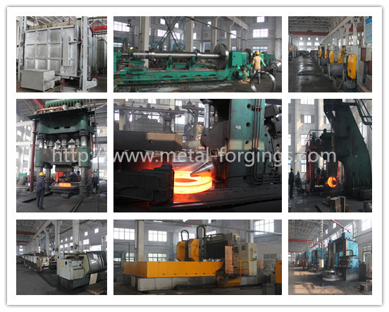 Customized Stainless Steel Forged Flanges F316L F304L F51 F53 F60